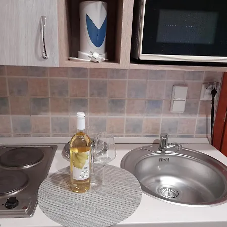 Andrea Διαμέρισμα Hajdúszoboszló