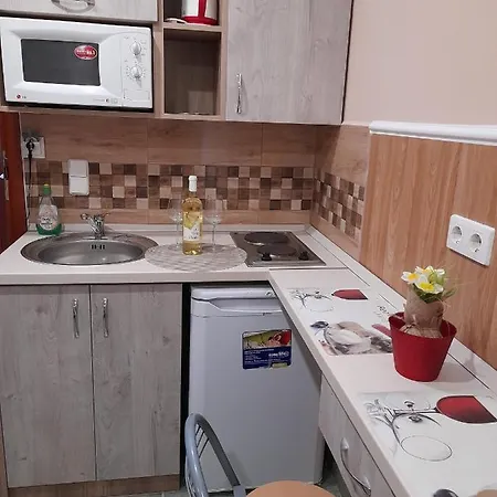 Apartment Andrea Hajduszoboszlo